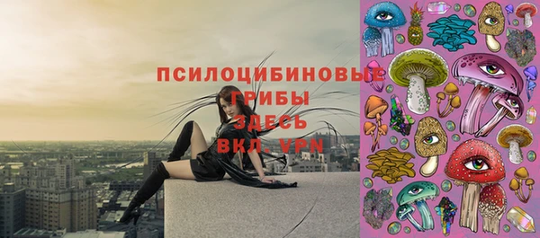 mix Вяземский