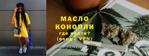 ECSTASY Горняк