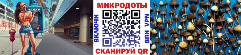Псилоцибиновые грибы Psilocybine cubensis  купить наркоту  mega вход  Благовещенск 
